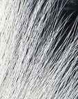 Large Northern Bucktail fibers in natural and black shades for premium fly tying at Freestone Fly Shop fly fishing supplies
