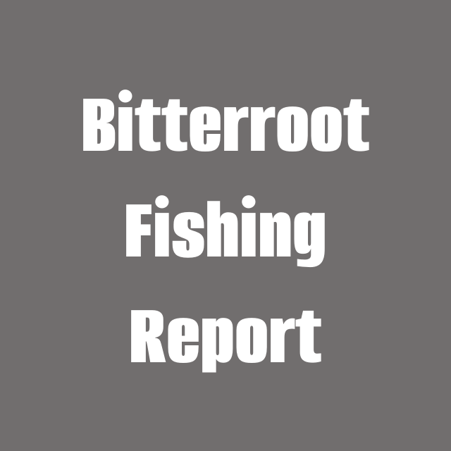 May 29th Bitterroot Fishing Report