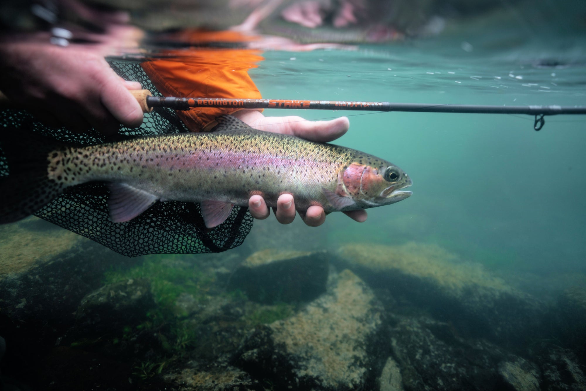 June 7th Clark Fork Fishing Report