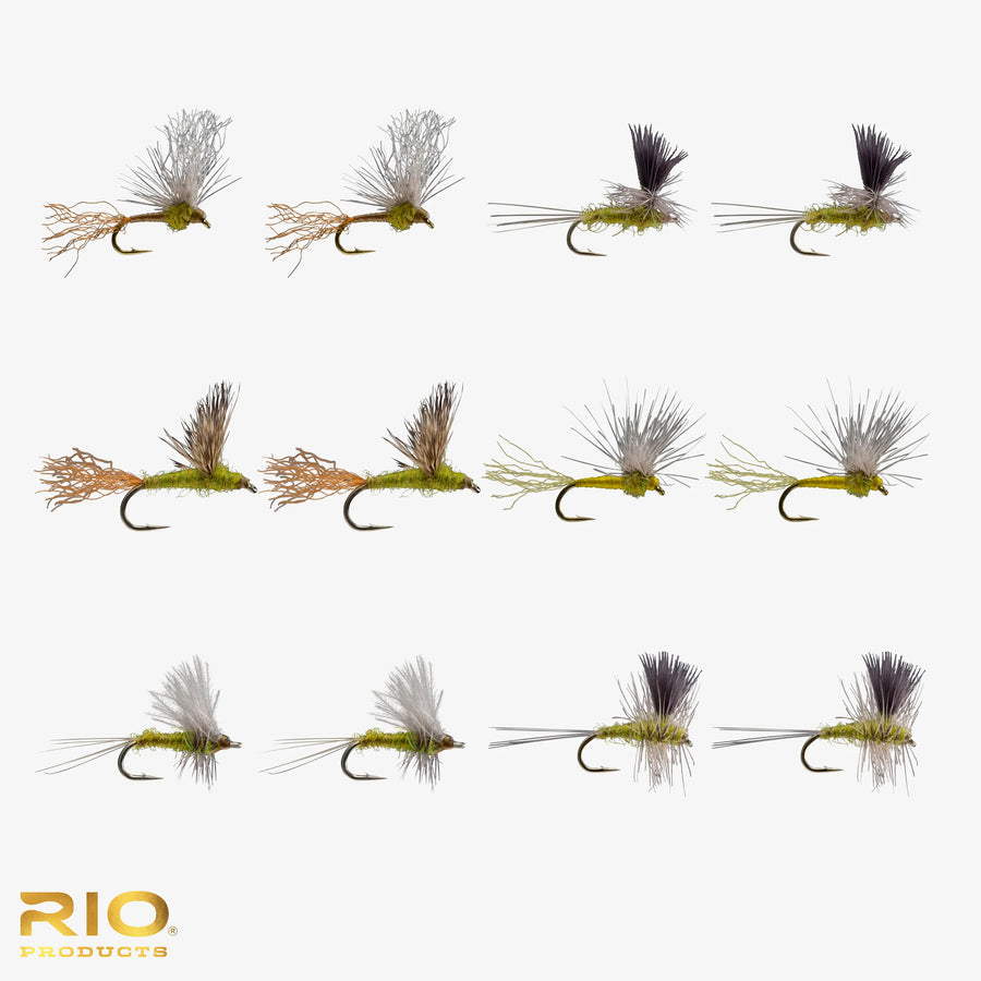 Rio Flies - BWO Dry Assortment