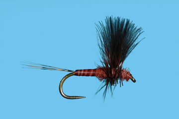 Solitude Flies - CDC Thorax Mahogany