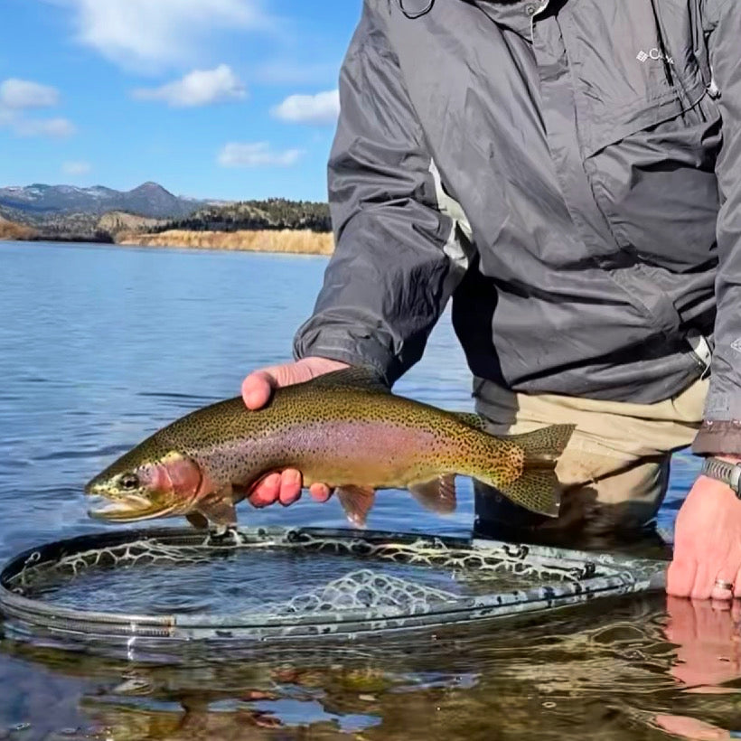 Angler holding a rainbow trout above water with a fishing net, mountains and blue sky in the background