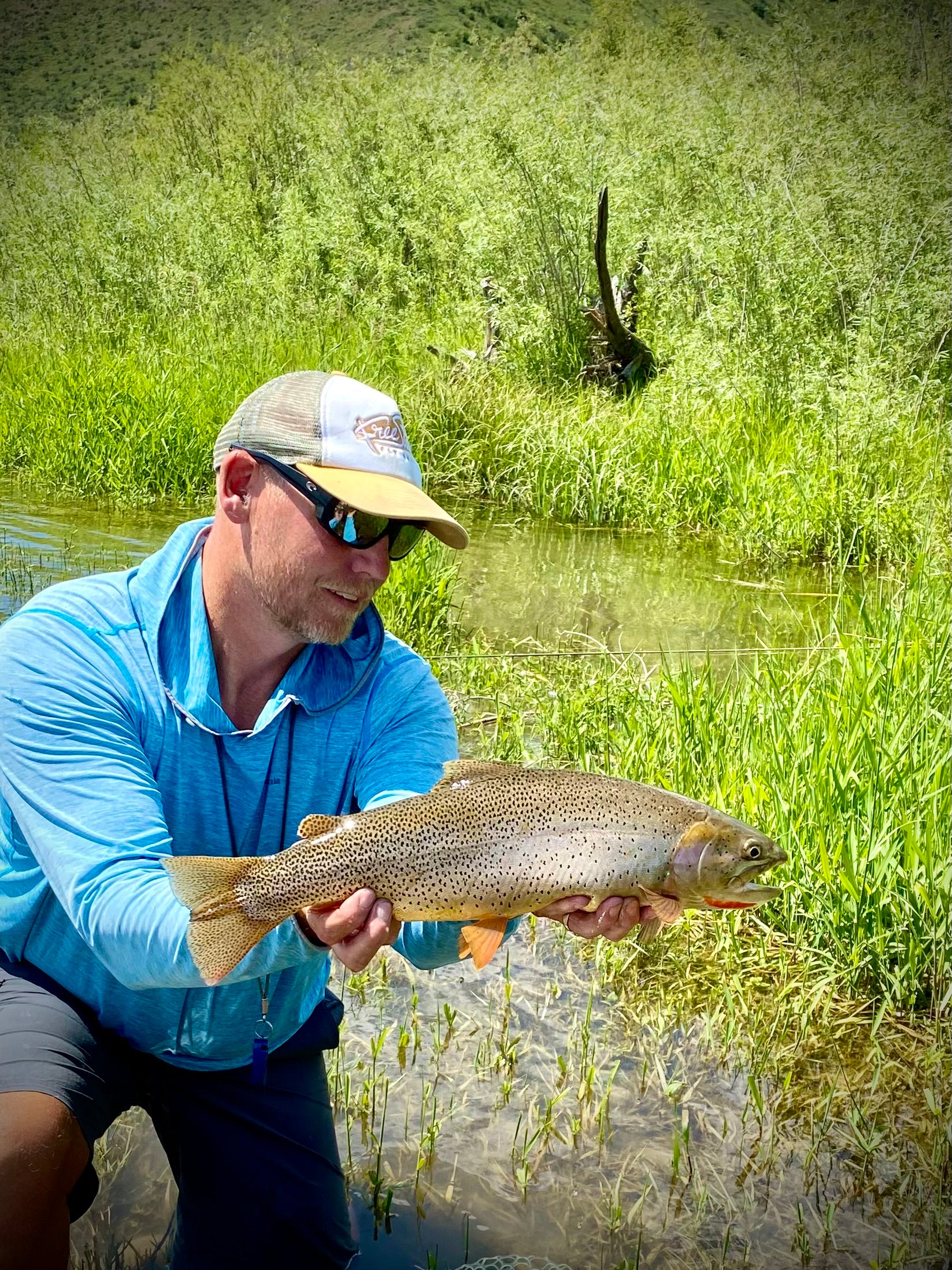 Man wearing sunglasses and hat holding a large trout near a grassy riverside on a sunny day