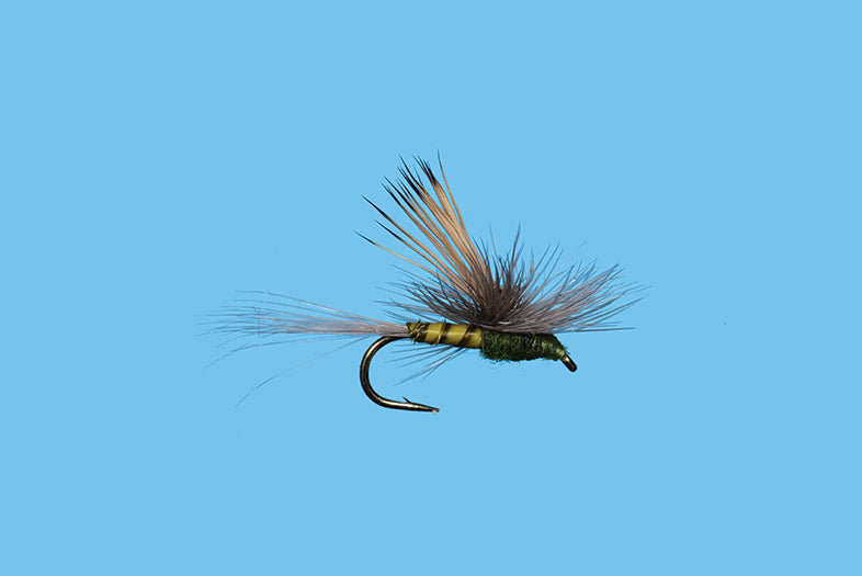 Solitude Flies - Tiltwing - BWO