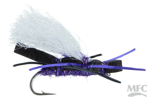 MFC Willy's Ant - Black/Purple