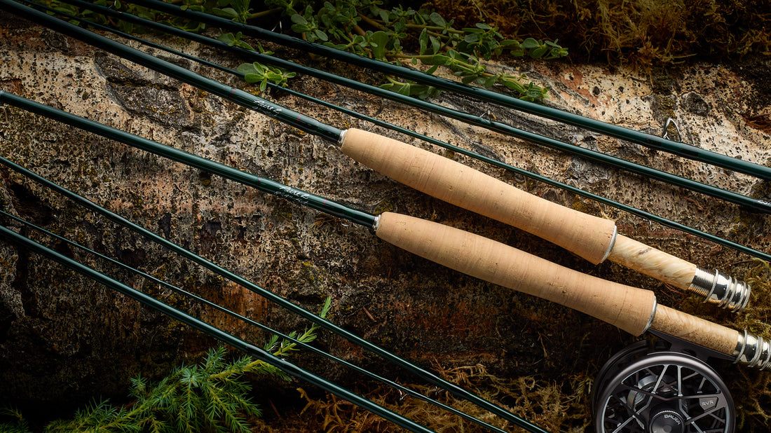 R.L. Winston Pure 2 Fly Rod